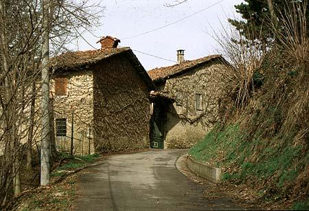 Frazione Barili